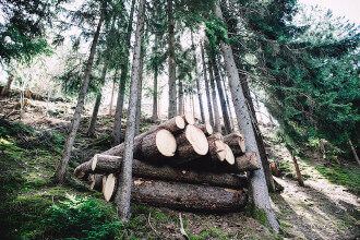 logs