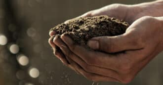 handful of soil