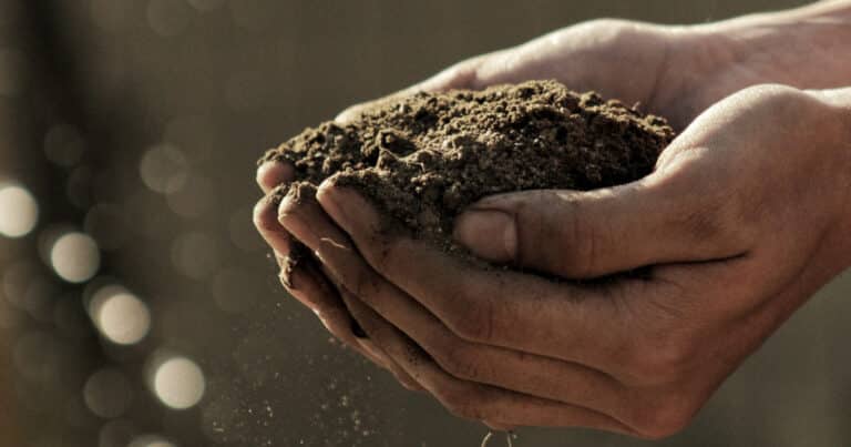 Handful of soil
