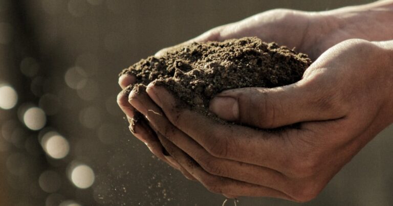 Soil conservation | The Interfaith Center for Sustainable Development Handful of soil