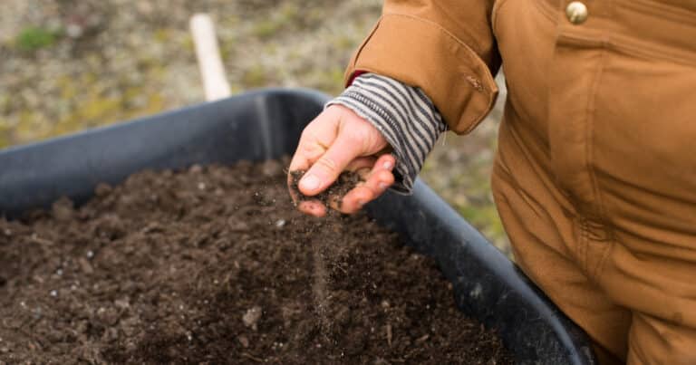 Soil