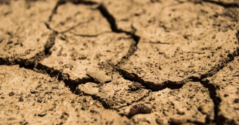 Soil exhaustion | The Interfaith Center for Sustainable Development Soil degradation