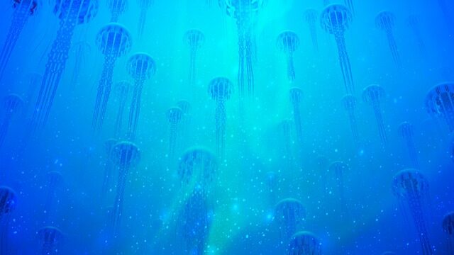 Underwater jellyfish