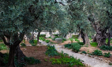 Religious leaders issue ‘Jerusalem Climate Declaration’