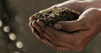 Handful of soil