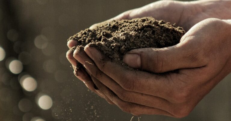 Importance of soil | The Interfaith Center for Sustainable Development Handful of soil