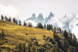 green trees on mountains