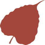 Bodhi leaf illustration