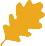 Oak leaf illustration