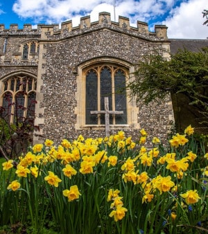 Church garden