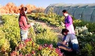 Judaism & Ecology | The Interfaith Center for Sustainable Development