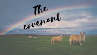 The Covenant between God, People, and the Earth