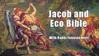 Jacob and Eco Bible