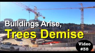 Sustainability and Sprawl: Buildings Arise, Trees Demise