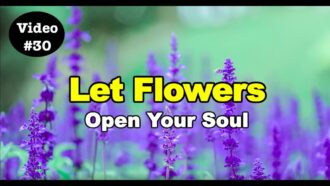 Let Flowers Open Your Soul