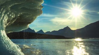 Cardinal Rodriguez: My Faith, My Responsibility to Care