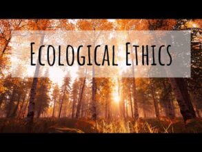 Rabbi Yuval Cherlow on Religion Becoming Part of the Environmental Solution