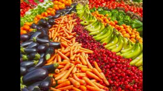 Jewish Food Ethics – Talk by Rabbi Yonatan Neril