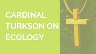 Cardinal Turkson on Ecology