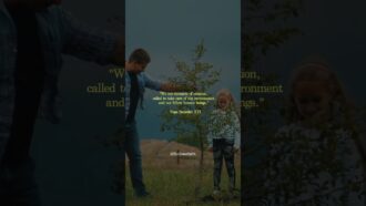 We Are Stewards Of Creation