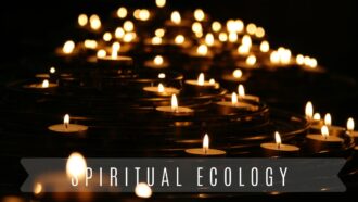 Rabbi Yonatan Neril on Spiritual Environmental Responsibility