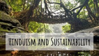 Hindu Views on Sustainability: An Interview with Two of India’s Leading Swamis (Full Video)