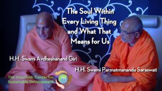 The Soul Within Every Living Thing and What That Means for Us