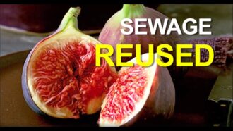 Recycled Water in Israel!