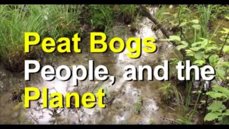 Peat Bogs, People, and the Planet