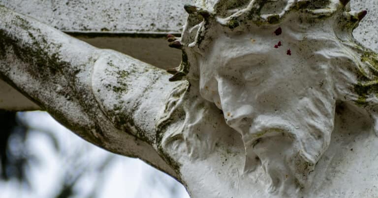 Tomás Tocando las heridas de Cristo: Lecciones ecoespirituales