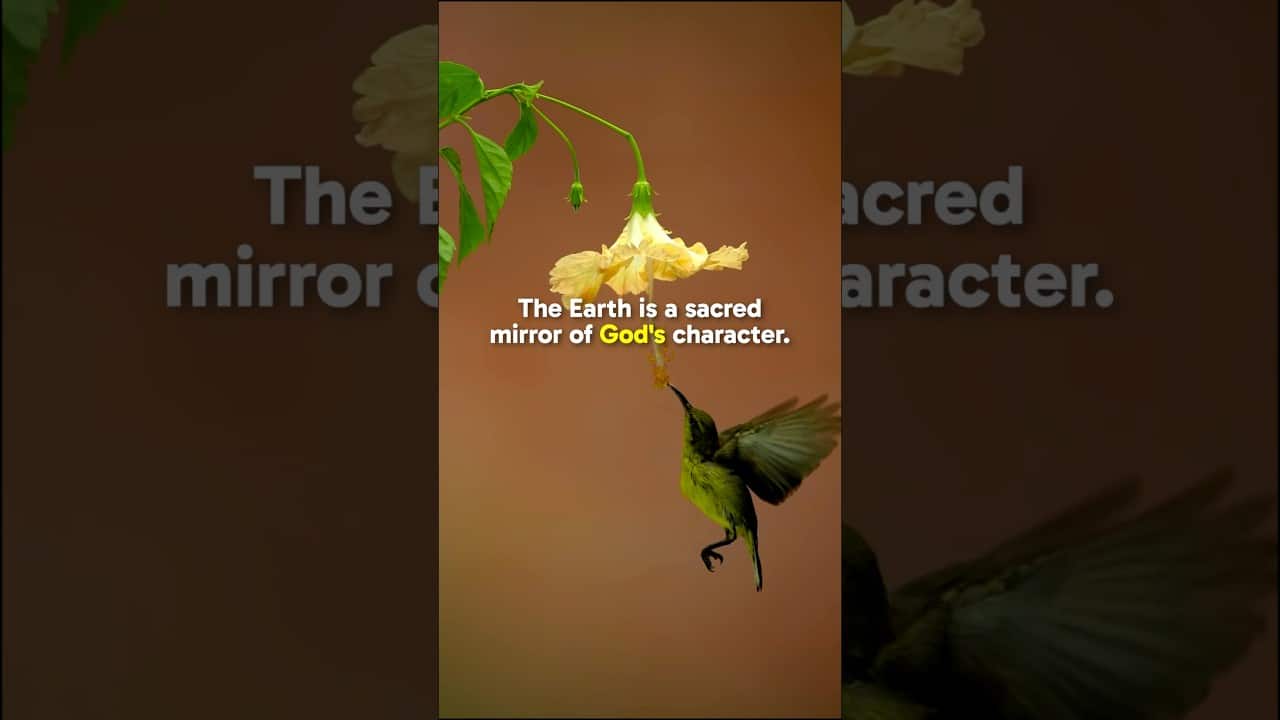 Nature's Beauty Reflects God's Goodness: An Educational Perspective
